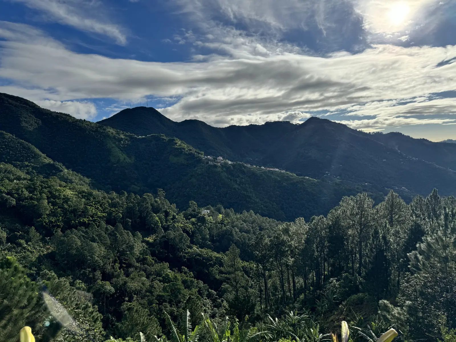Blue Mountain Peak Trail